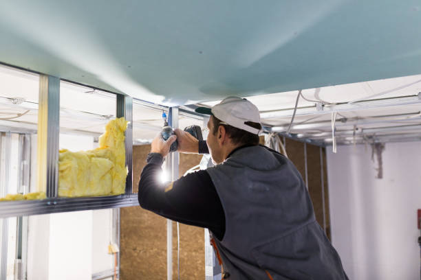 Best Commercial Insulation Services  in Pasatiempo, CA